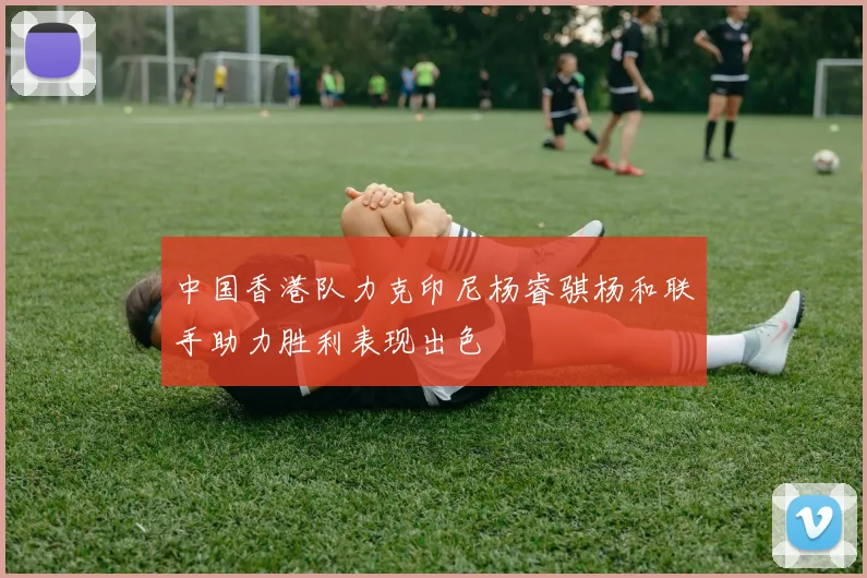 中国香港队力克印尼杨睿骐杨和联手助力胜利表现出色